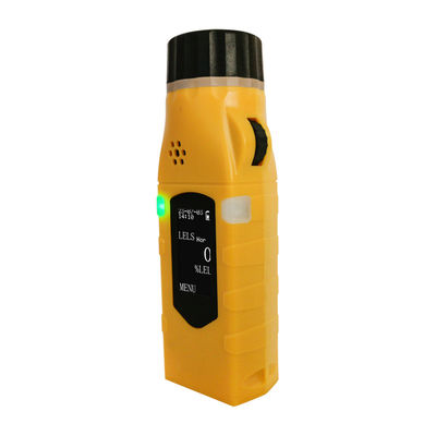 ABS-tragbare Gasdetektor für Kohlenmonoxid/H2S-Sulfidgas